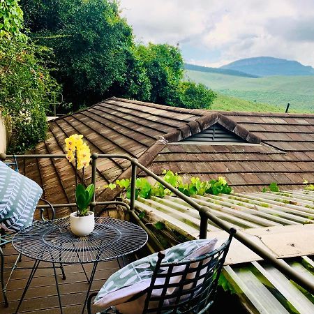 Mountain Rose Guesthouse Louis Trichardt Zewnętrze zdjęcie