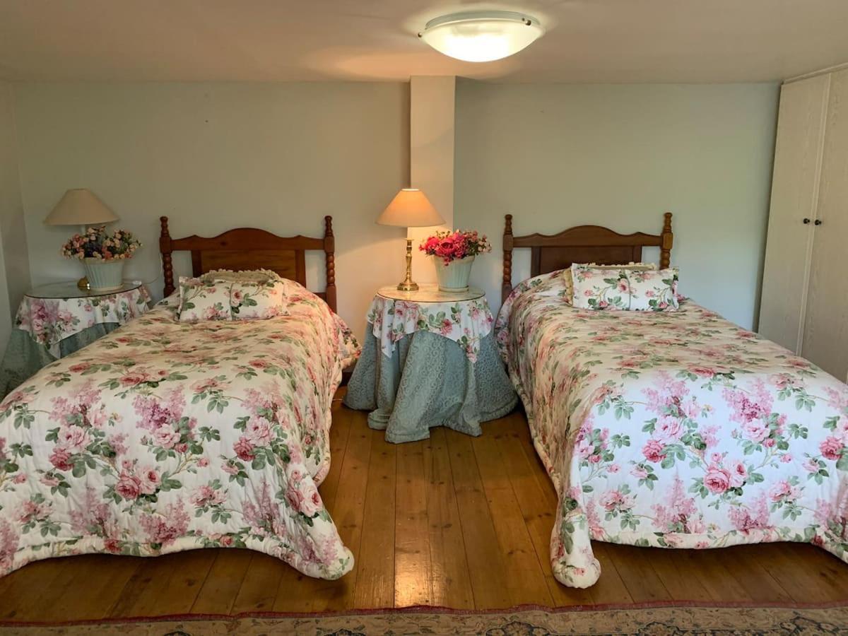 Mountain Rose Guesthouse Louis Trichardt Zewnętrze zdjęcie