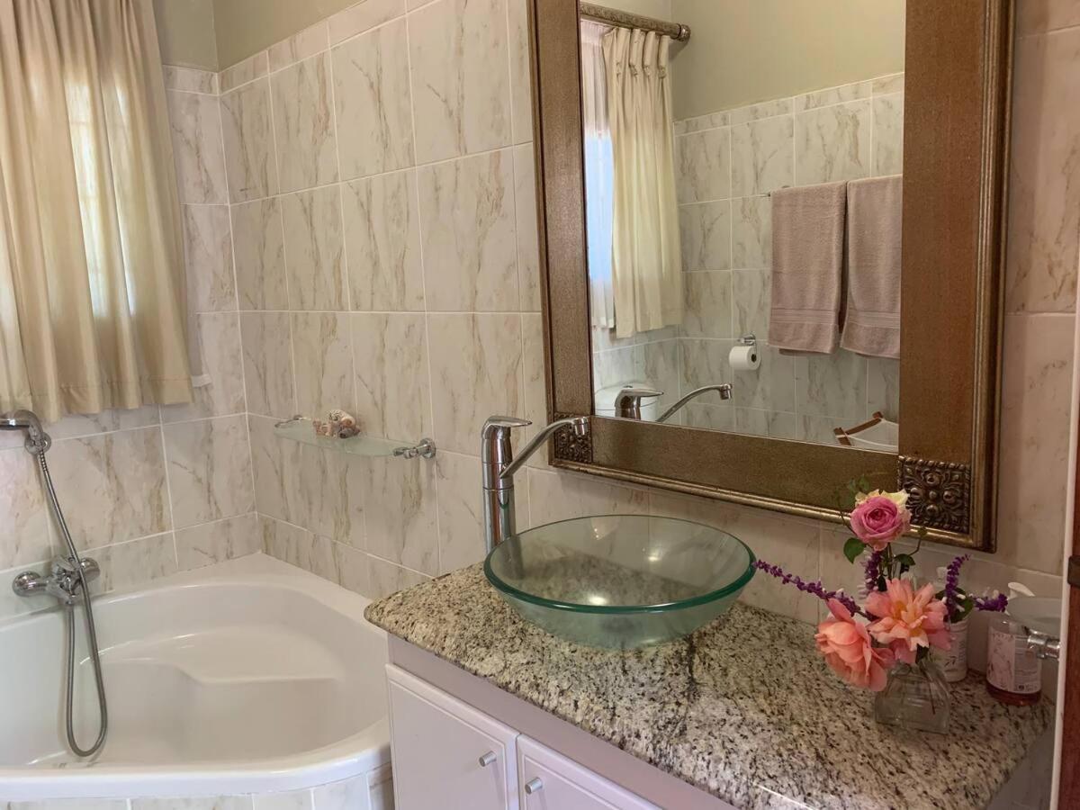 Mountain Rose Guesthouse Louis Trichardt Zewnętrze zdjęcie