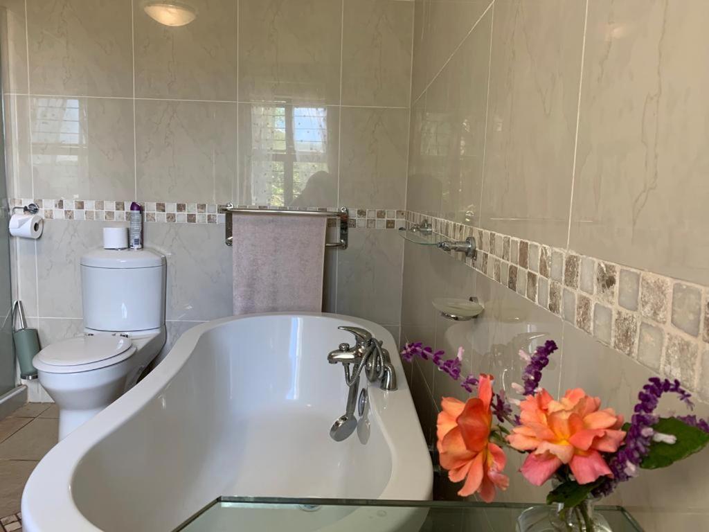 Mountain Rose Guesthouse Louis Trichardt Zewnętrze zdjęcie